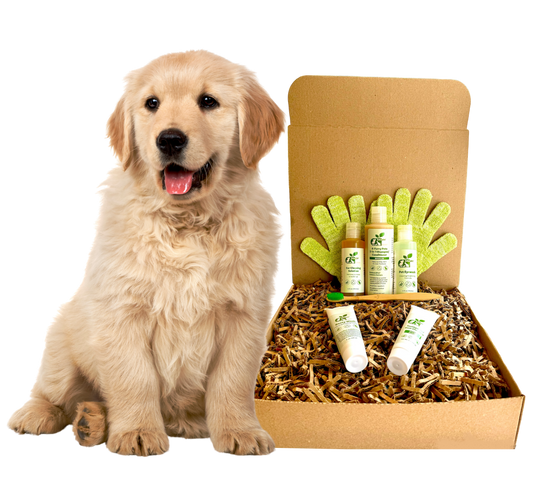 4-FURRY DOGS *RESTORATIVE GROOMING KIT