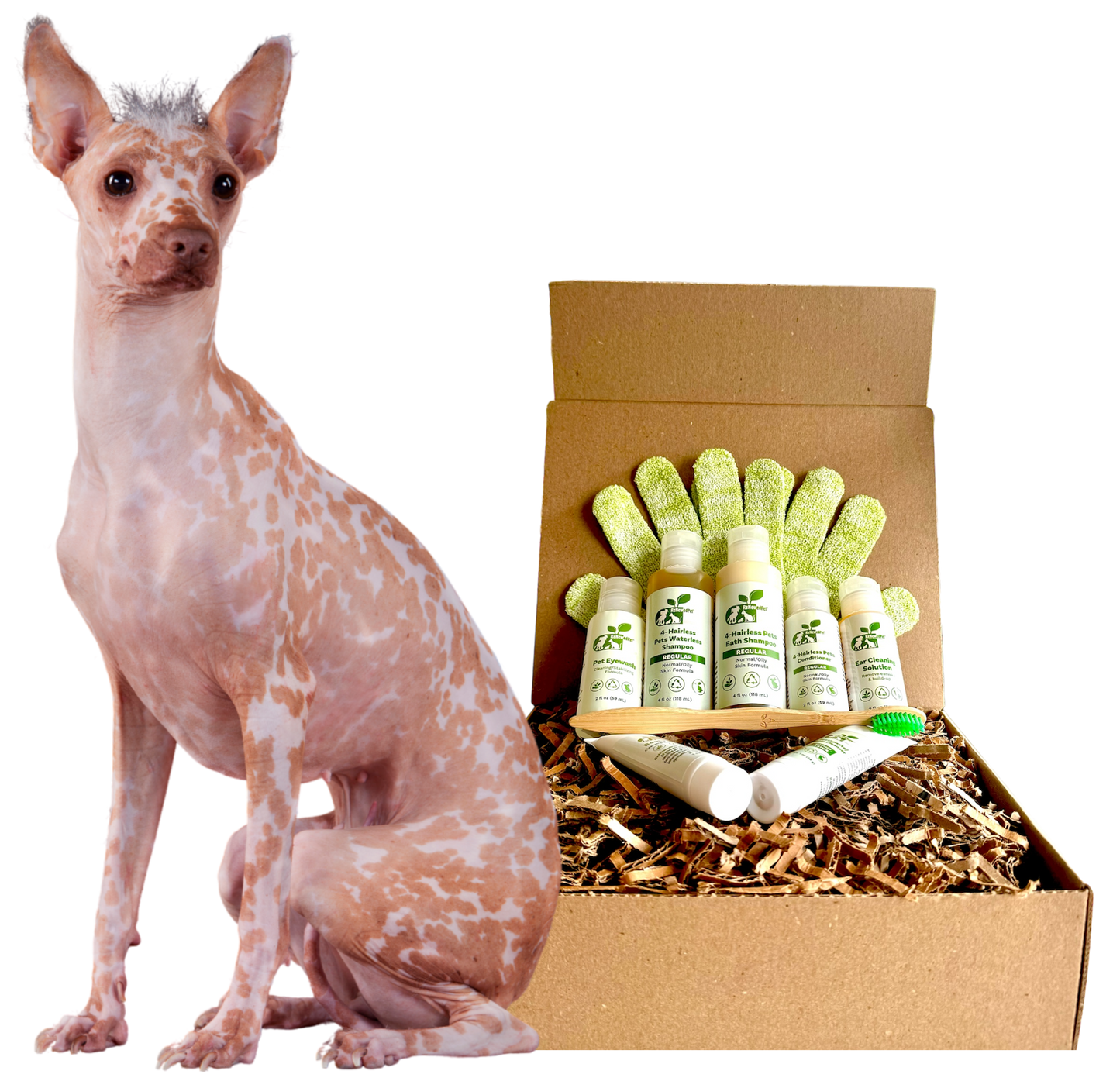 4-HAIRLESS PETS *DOG REGULAR KIT