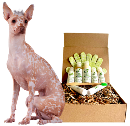 4-HAIRLESS PETS *DOG REGULAR KIT