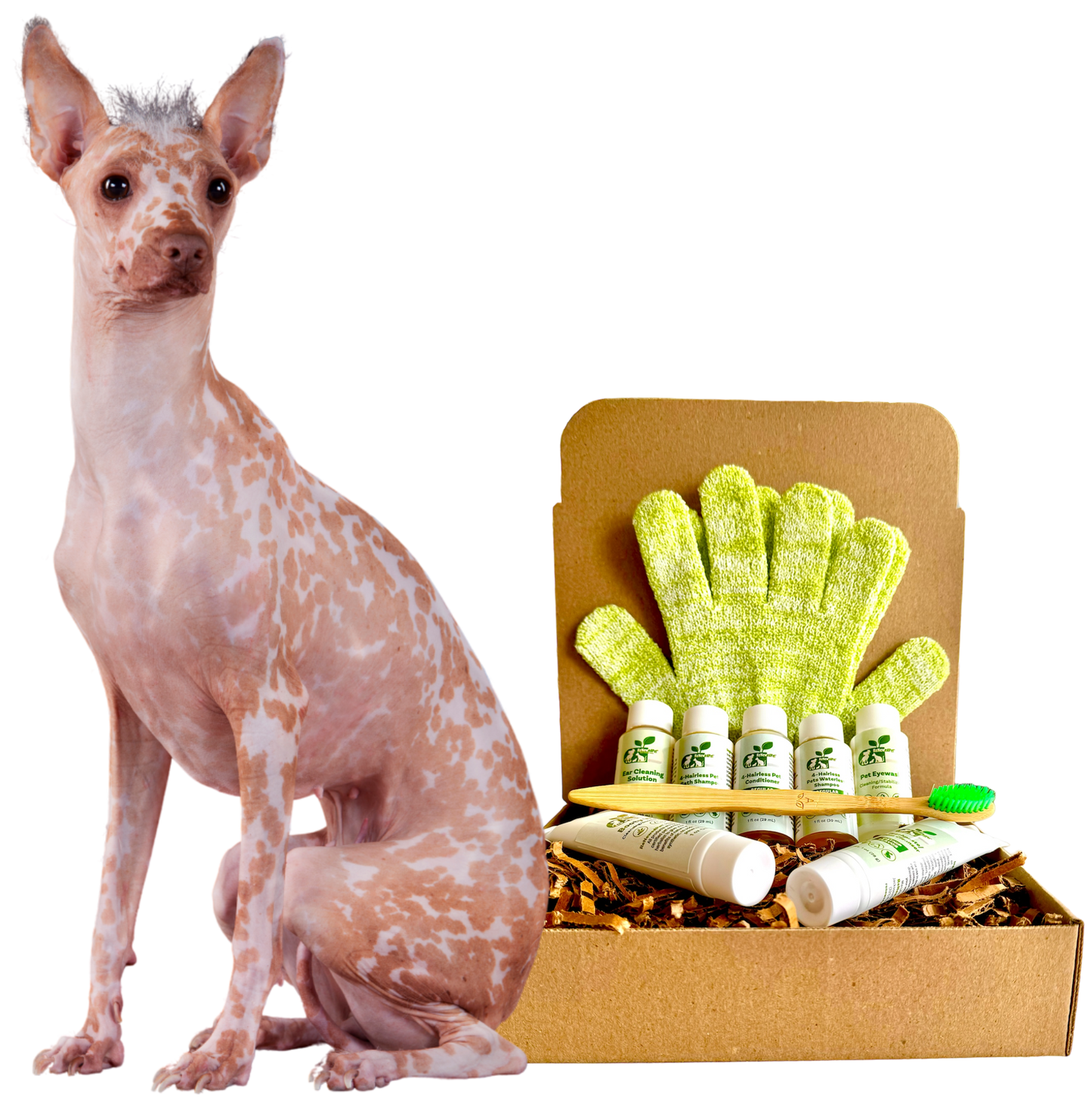 4-HAIRLESS PETS *DOG REGULAR KIT