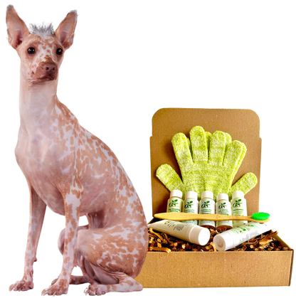 4-HAIRLESS PETS *DOG REGULAR KIT