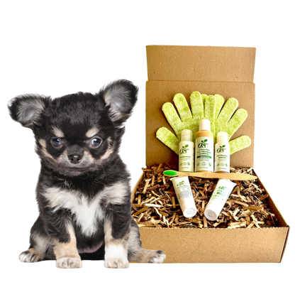 4-FURRY DOGS *SENSITIVE GROOMING KIT