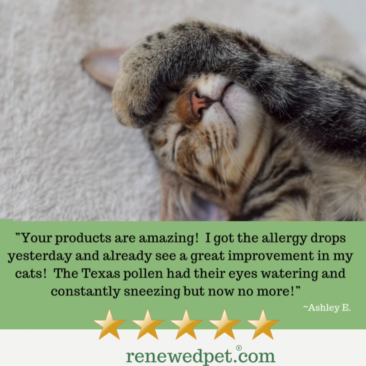 ALLERGY HEALTH/ Allergy-Free Remedy