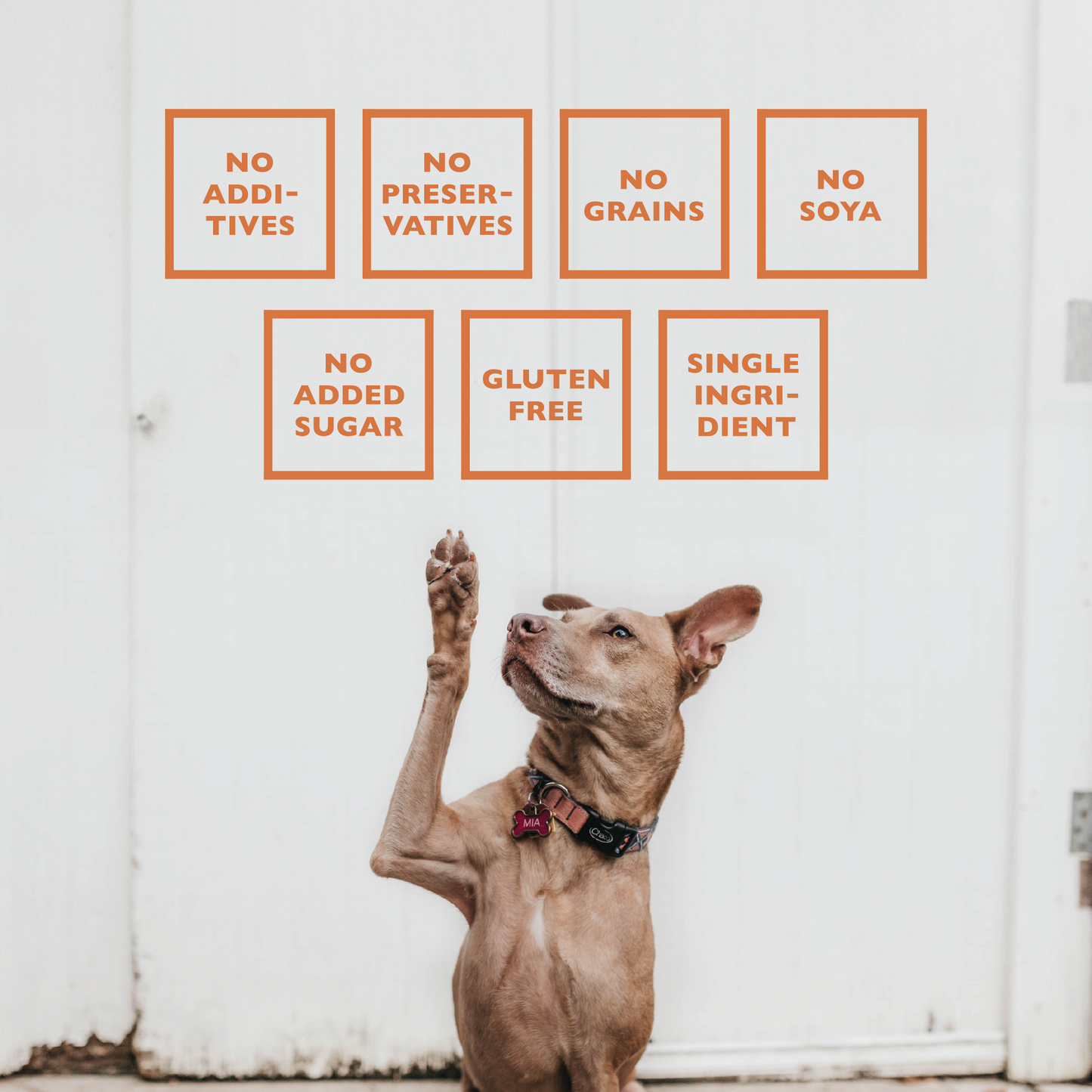 BAFFS NATURALS All-Natural Premium Lamb Ear Dog Chews – (3.5oz Bag)