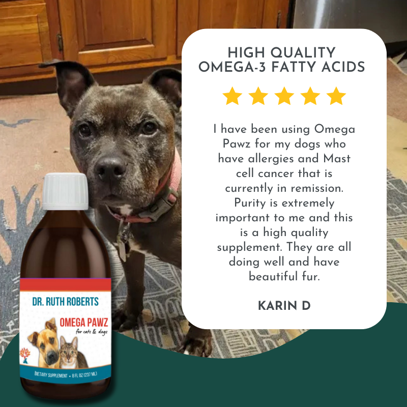Pre-Order Omega Pawz - Liquid Omega 3 Oil for Dogs and Cats