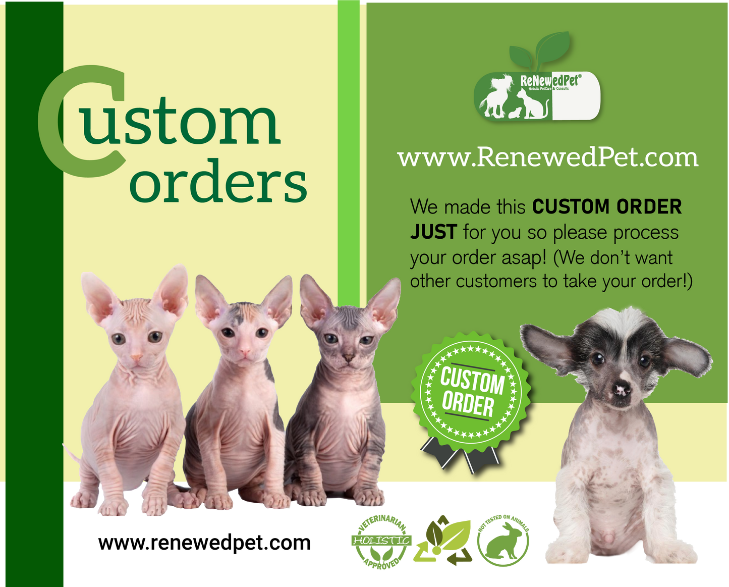 ONE (2 oz.) Ear / Nail / Eye Kit (No Pads) + SIX (4 oz.) Reg. 4-H Shampoo + 6 Xolo Cards