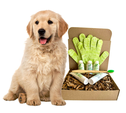 4-FURRY DOGS *RESTORATIVE GROOMING KIT