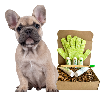 4-FURRY DOGS *REGULAR GROOMING KIT