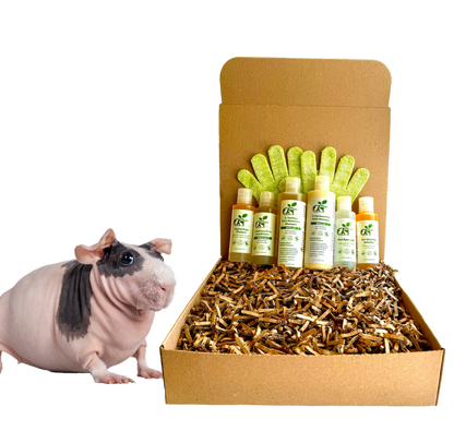 4-HAIRLESS PETS *SKINNYPIG REGULAR KIT