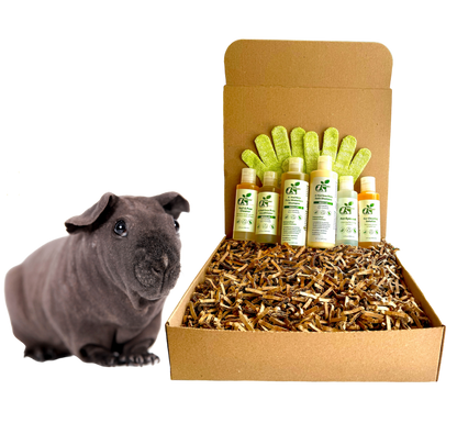 4-HAIRLESS PETS *SKINNYPIG SENSITIVE KIT