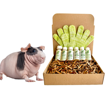 4-HAIRLESS PETS *SKINNYPIG REGULAR KIT