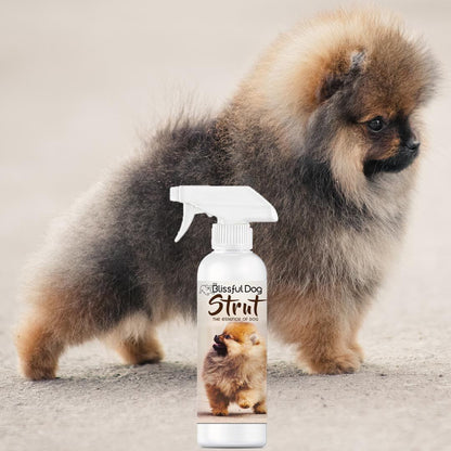 Strut Dog Cologne for the Ruler of the Kingdom