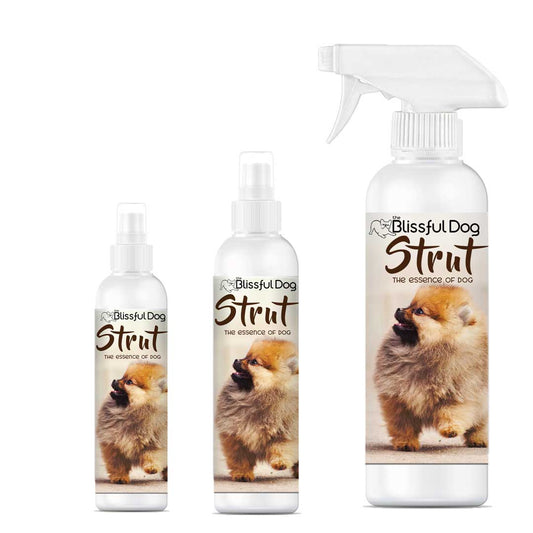 Strut Dog Cologne for the Ruler of the Kingdom