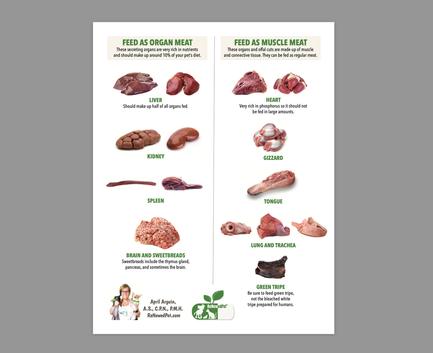 Best Organ Meats to Feed Your Pets