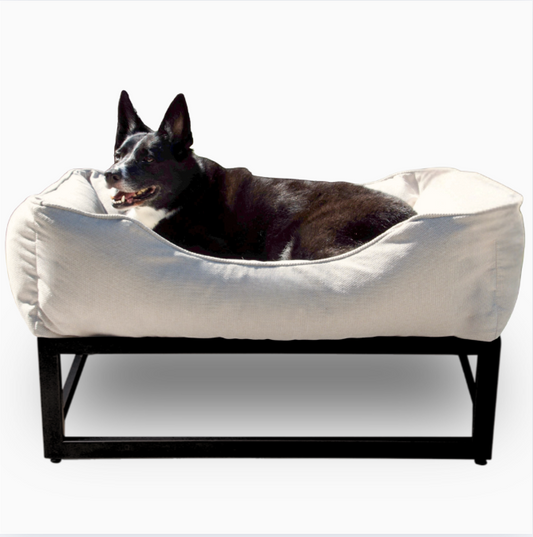 The FÜZI Dog Bed