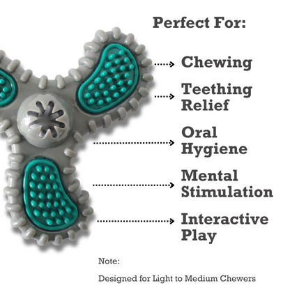 TPR Dental Spinner Dog Chew Toy – Durable Dental Care Fun for Light to Medium Chewers