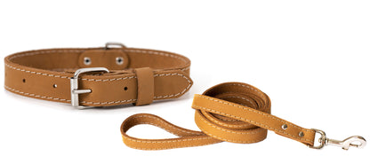 Traditional Style Leather Collar and Leash Set