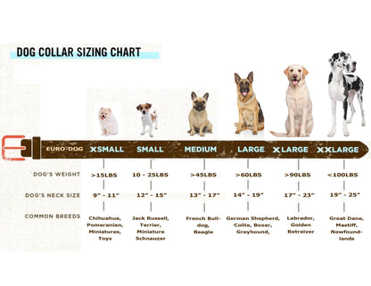 Traditional Style Leather Collar and Leash Set