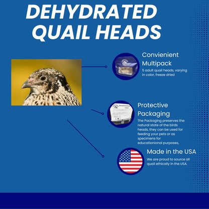 Fine Feline Feasts Quail Heads - Gourmet Cat Treats, High Protein, Nutrient-Dense, Promotes Natural Instincts, Healthy Skin & Coat, Minimal Ingredients Pack of 5