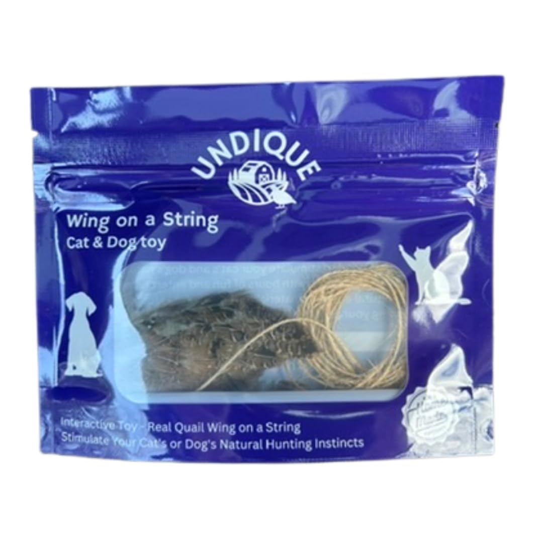 Wing on String Cat Toy - Real Bird Wing Dog Training Supplies & Accessories, Quail Wing Bird Scent Interactive Play for Cats, Hunting Dog Training Bird Retrieval Cat Trainer