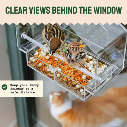 Clear View Window Bird Feeder with Suction Cups (2 Piece Set)