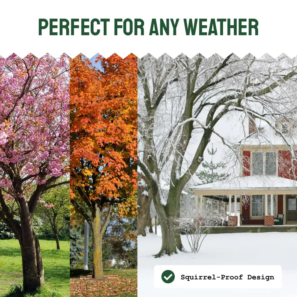 Clear View Window Bird Feeder with Suction Cups (2 Piece Set)