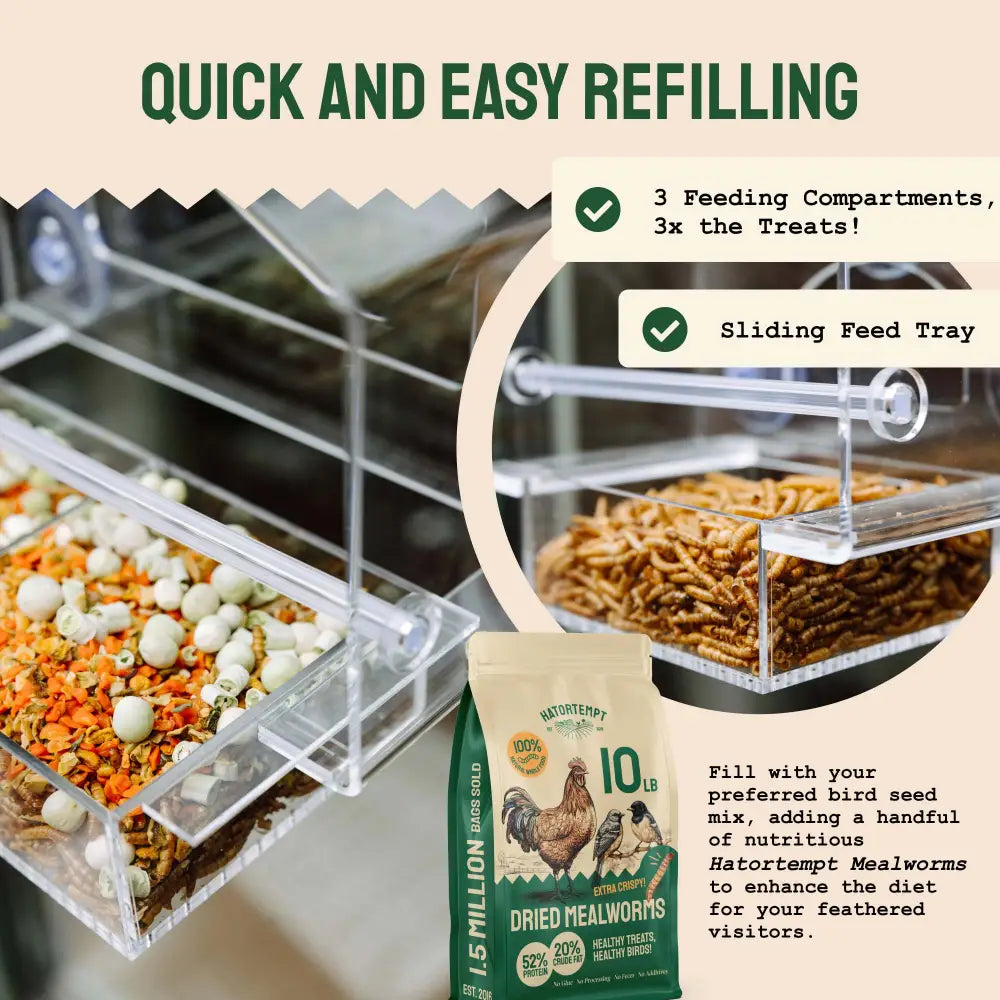 Clear View Window Bird Feeder with Suction Cups (2 Piece Set)