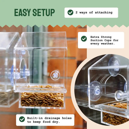 Clear View Window Bird Feeder with Suction Cups (2 Piece Set)