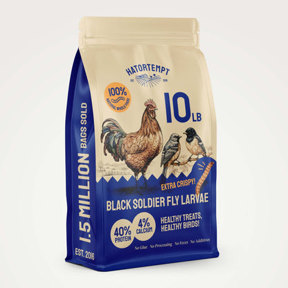 Dried Black Soldier Fly Larvae for Chickens