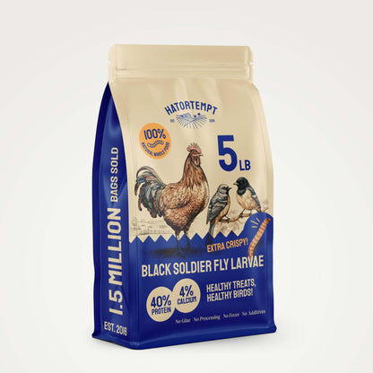 Dried Black Soldier Fly Larvae for Chickens