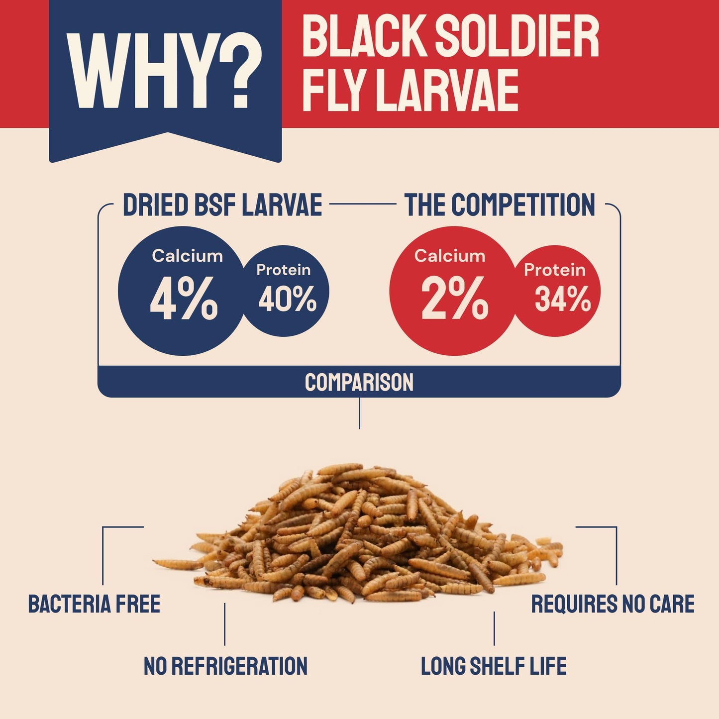 Dried Black Soldier Fly Larvae for Chickens