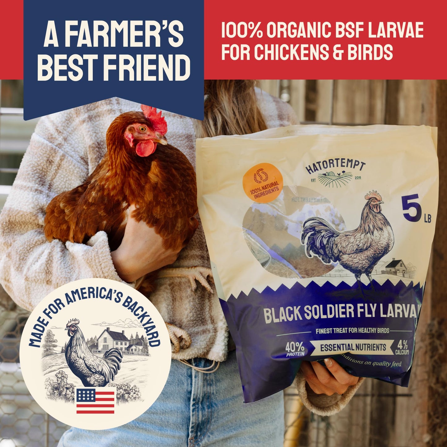 Dried Black Soldier Fly Larvae for Chickens