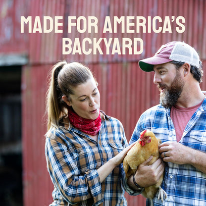Dried Black Soldier Fly Larvae for Chickens