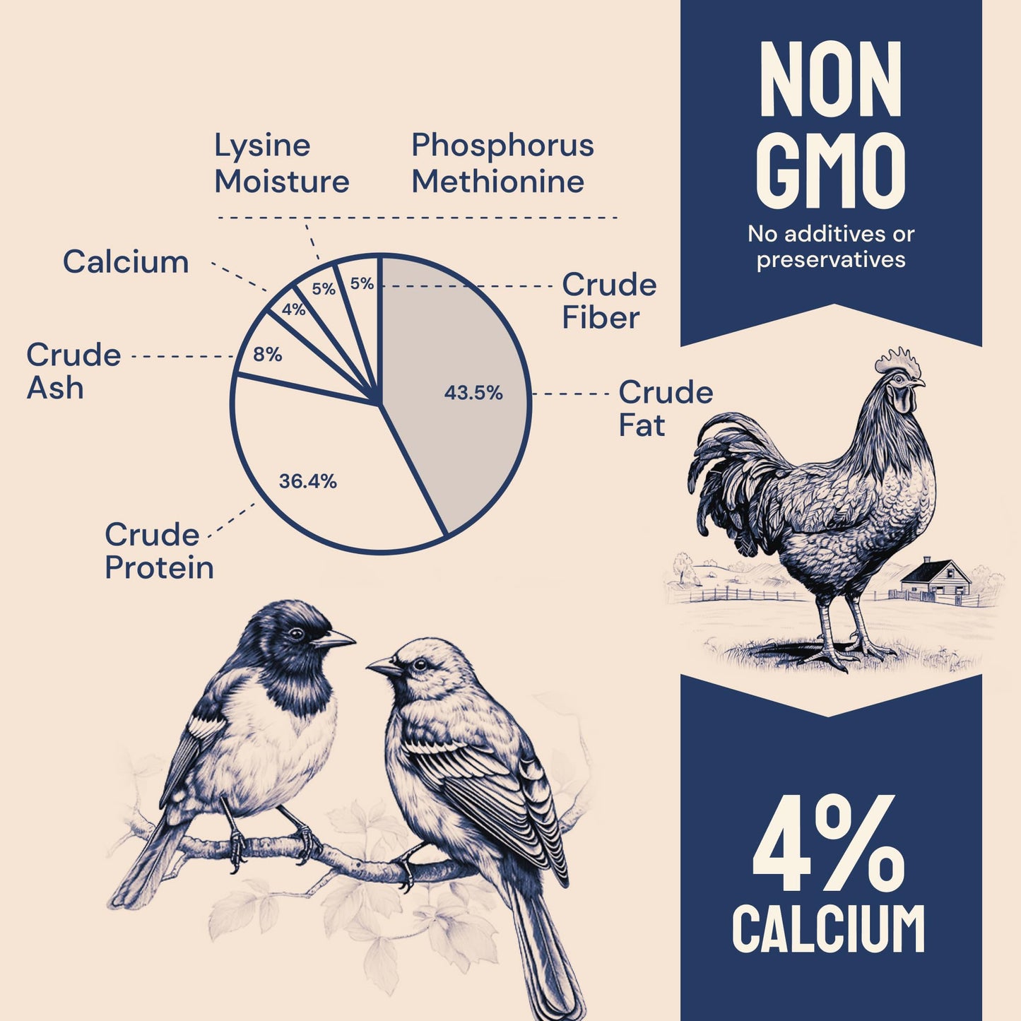 Dried Black Soldier Fly Larvae for Chickens