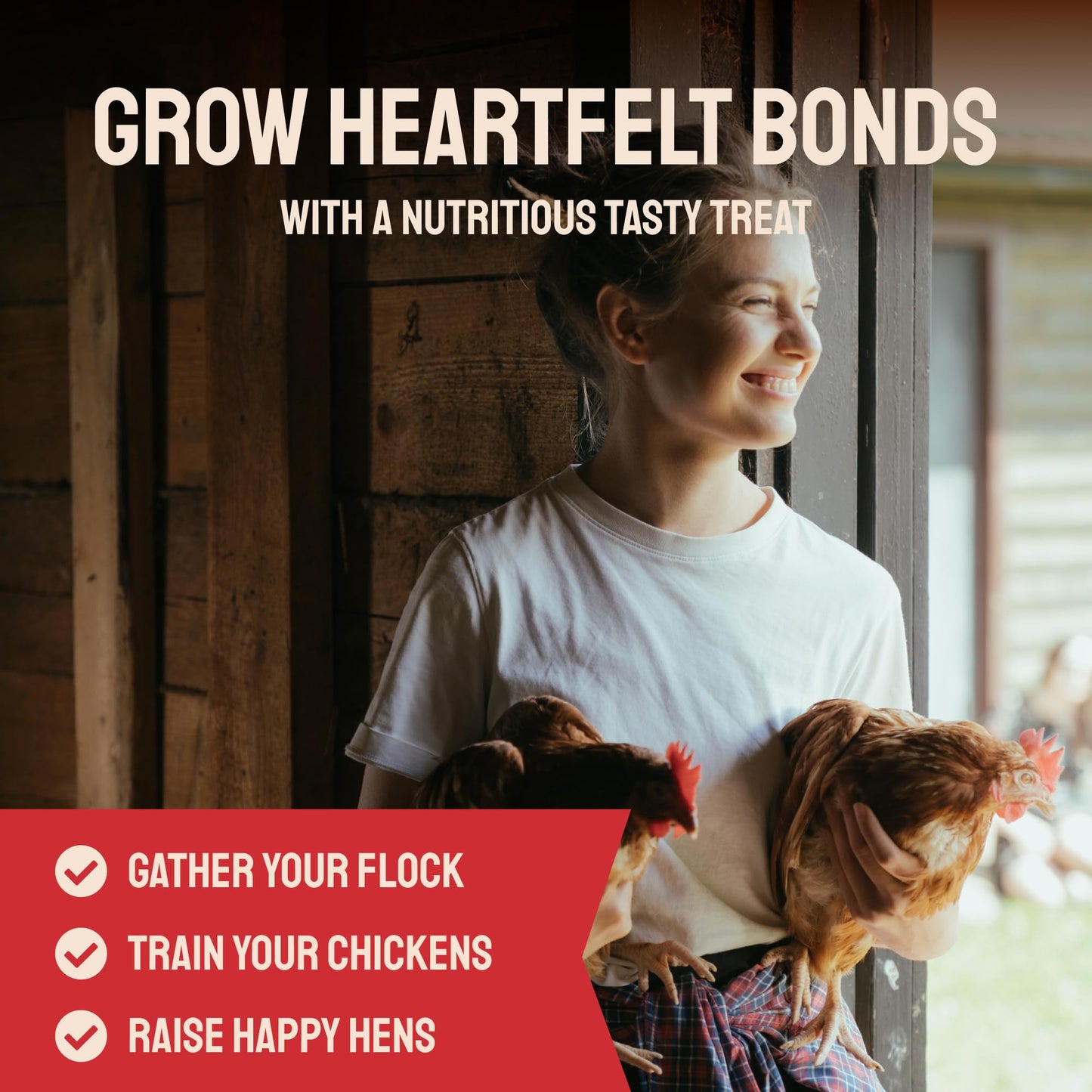 Dried Black Soldier Fly Larvae for Chickens