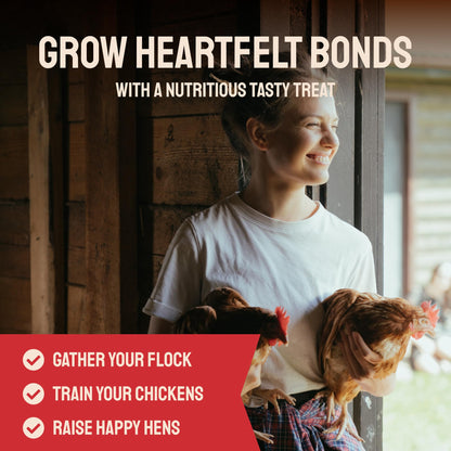 Dried Black Soldier Fly Larvae for Chickens