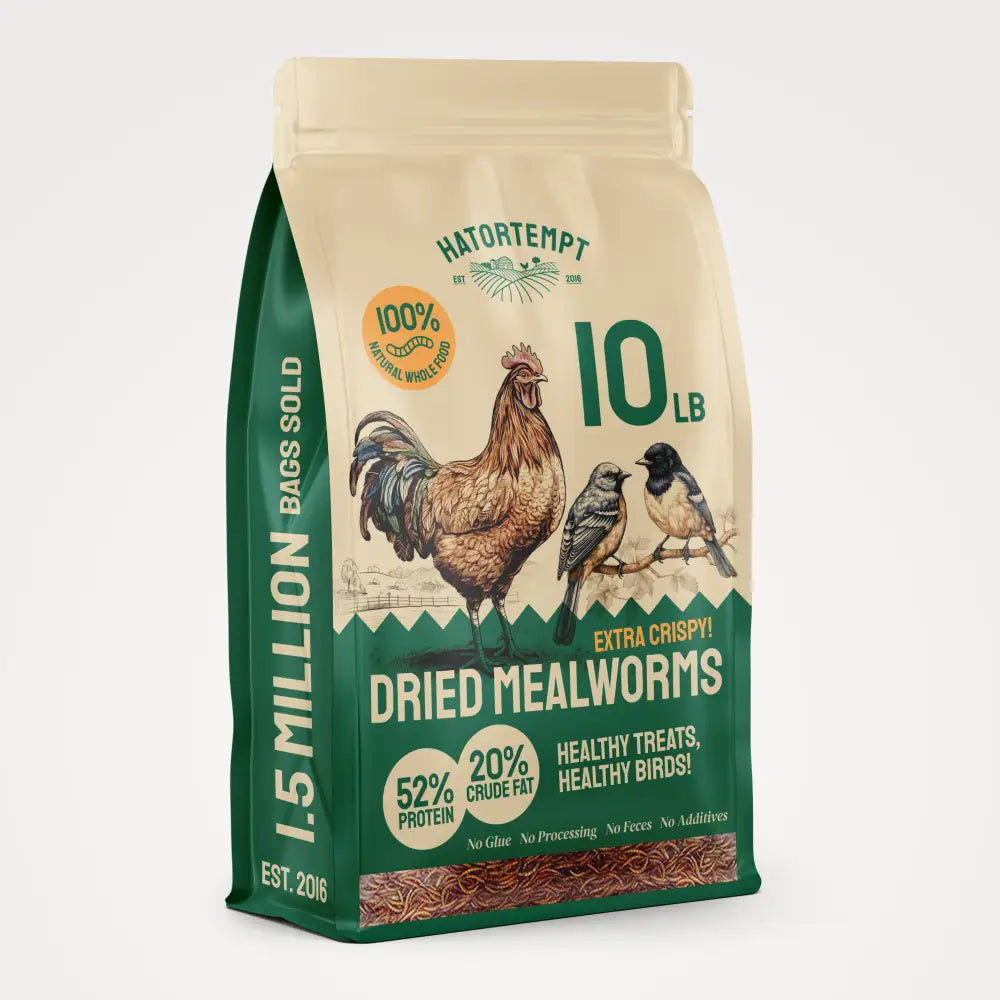 Dried Mealworms For Chickens