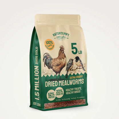 Dried Mealworms For Chickens