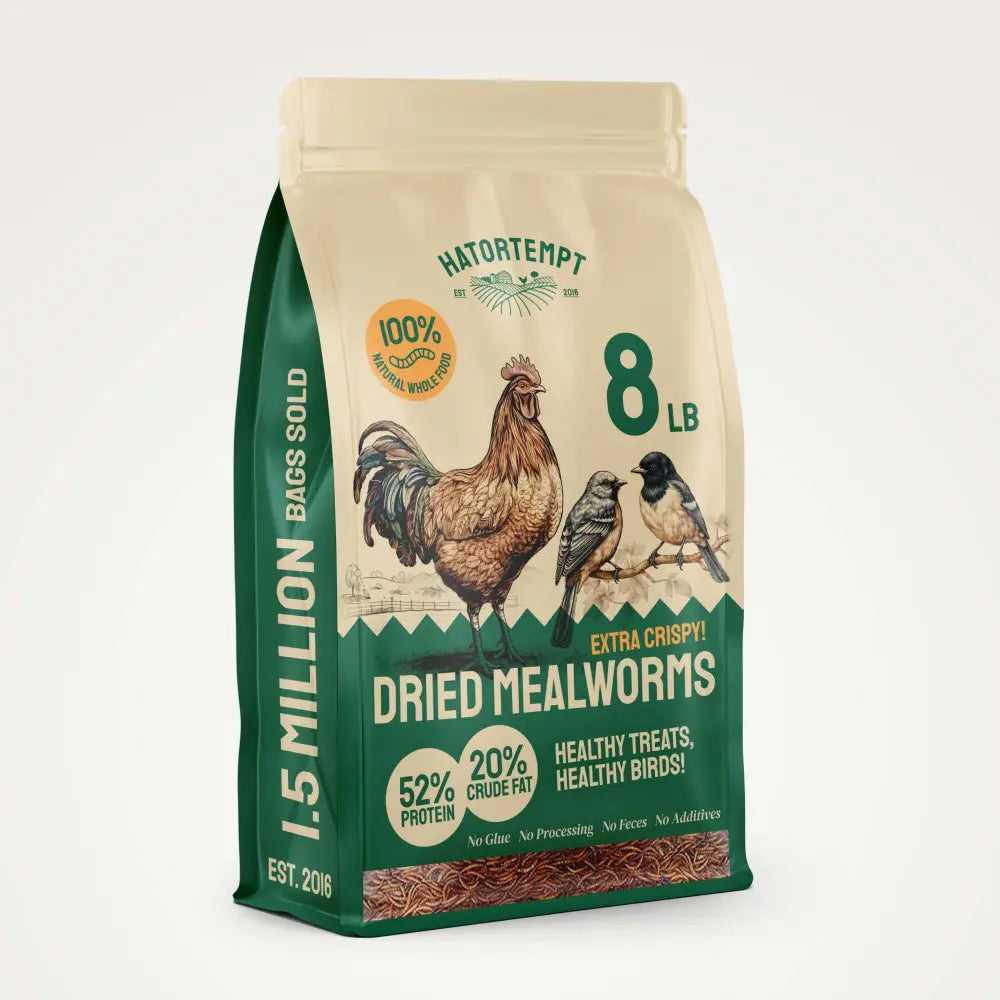 Dried Mealworms For Chickens