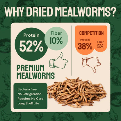 Dried Mealworms For Chickens