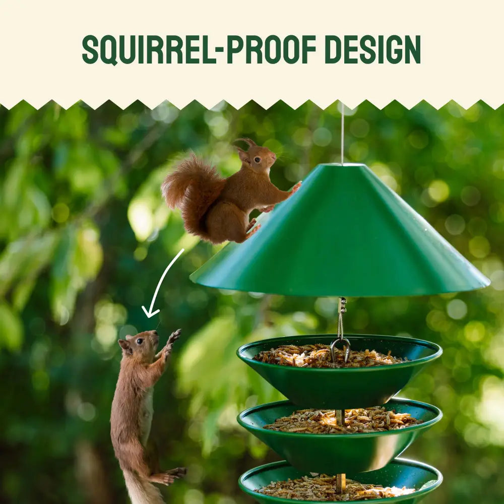 Squirrel-Proof Metal Bird Feeder (Hanging)
