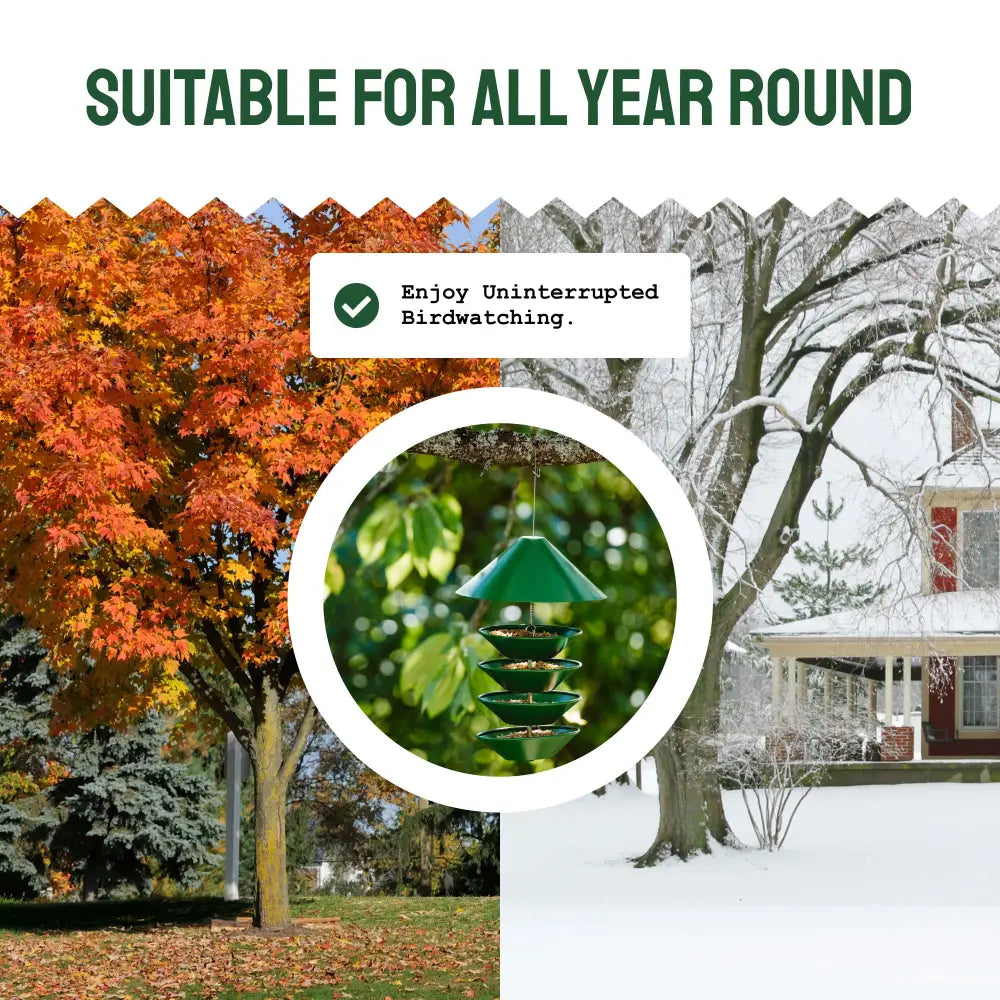Squirrel-Proof Metal Bird Feeder (Hanging)