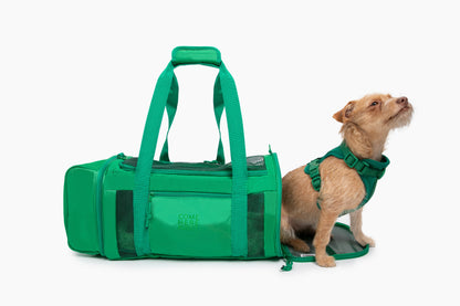 Travel Buddy - Pet Carrier