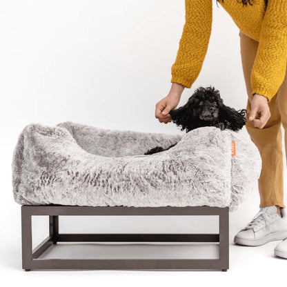 The FÜZI Dog Bed