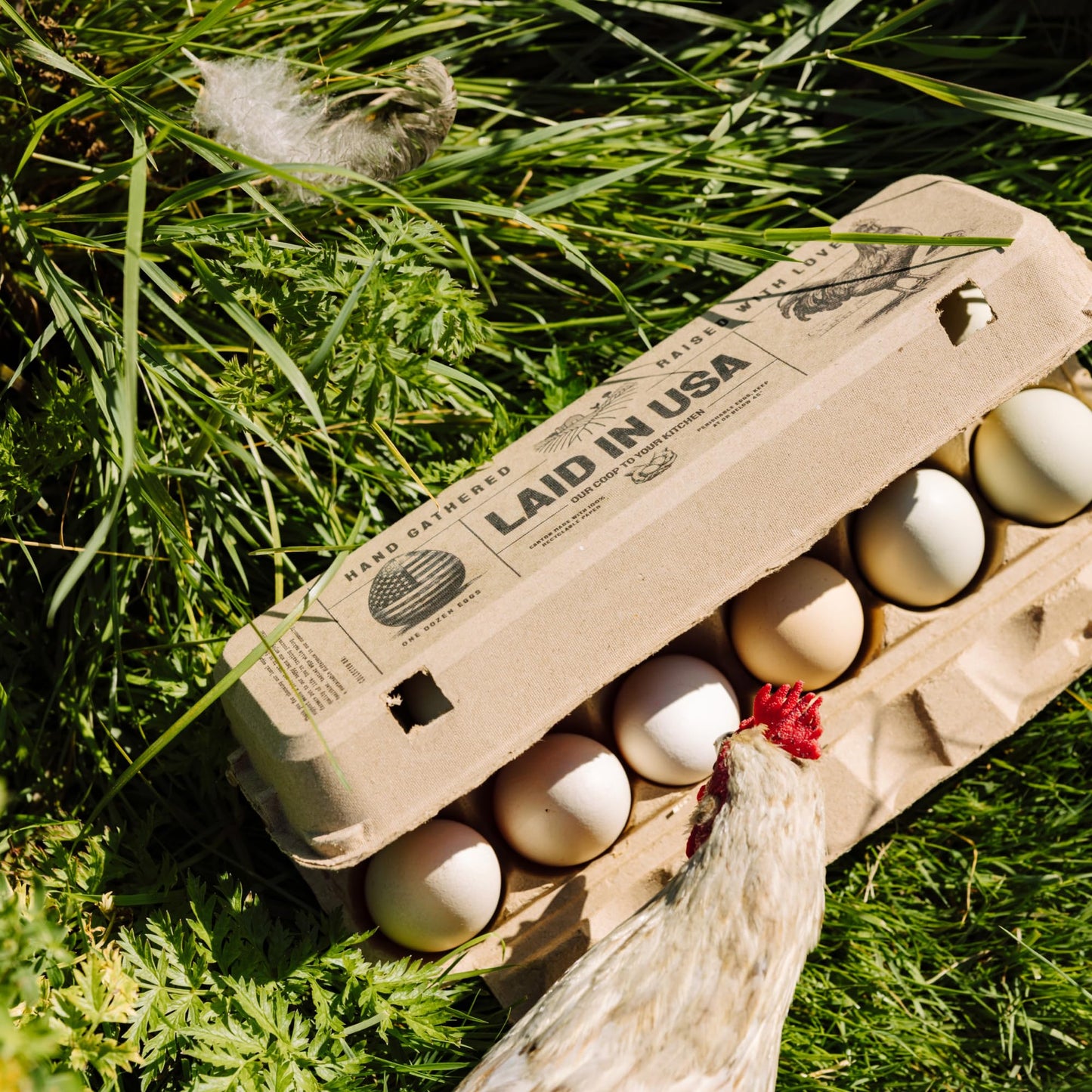 Laid in USA: Reusable, Compostable Egg Cartons (Bulk)
