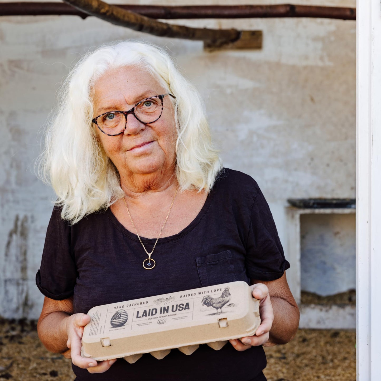 Laid in USA: Reusable, Compostable Egg Cartons (Bulk)