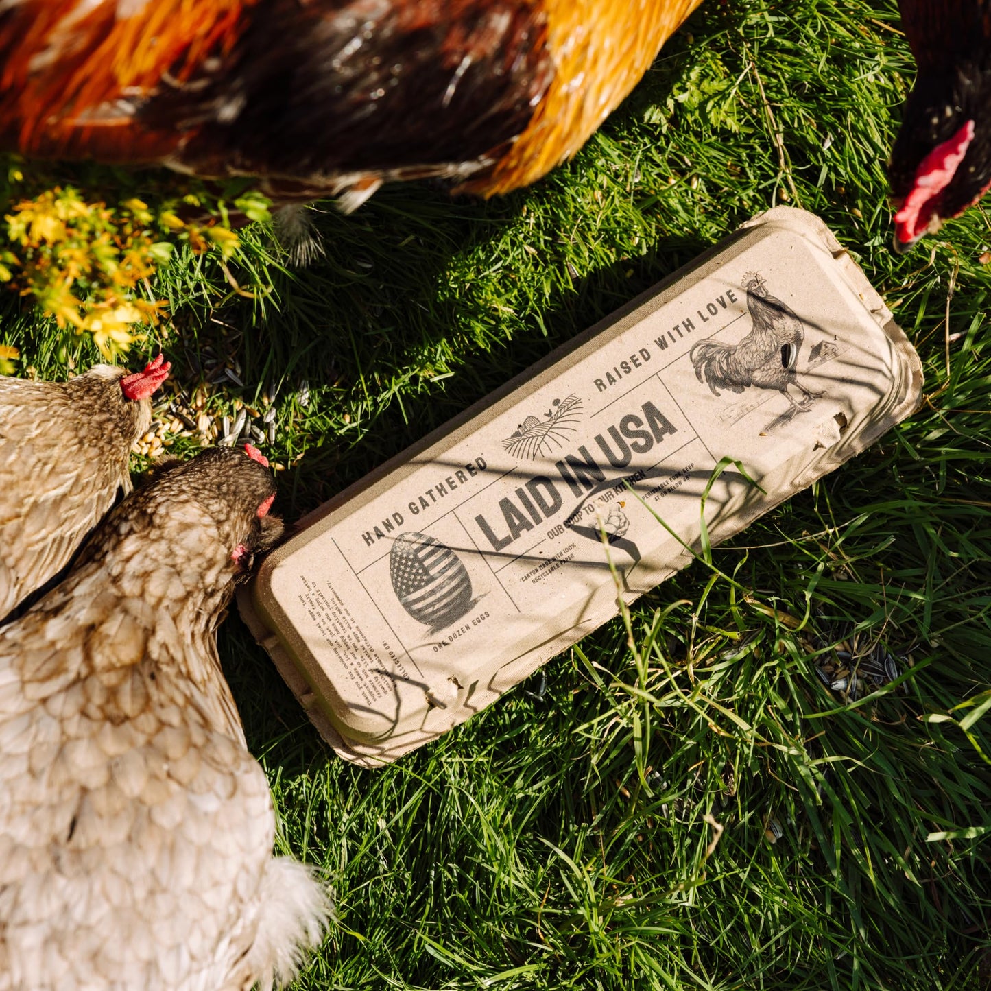 Laid in USA: Reusable, Compostable Egg Cartons (Bulk)