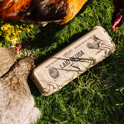 Laid in USA: Reusable, Compostable Egg Cartons (Bulk)
