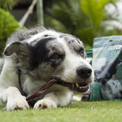 12" Beef Braided Gullet Sticks (4-Pack)