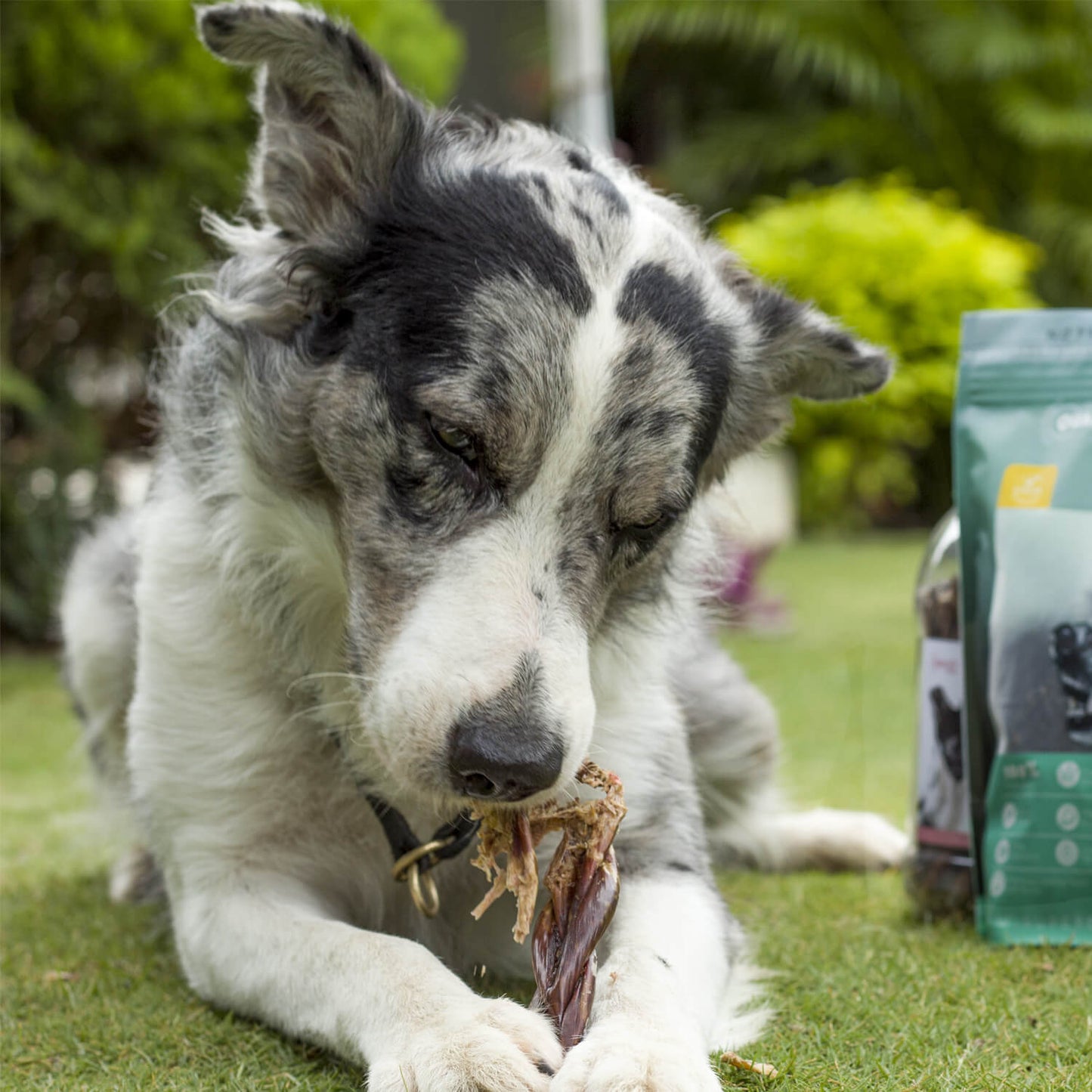 12" Beef Braided Gullet Sticks (4-Pack)